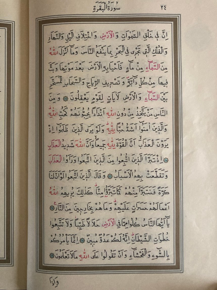 24