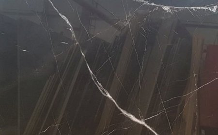 Toros Siyah Alexandrette Black Mermer